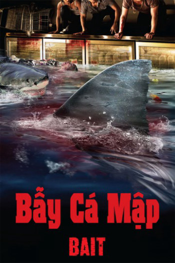 Bẫy Cá Mập - Bait (2013)