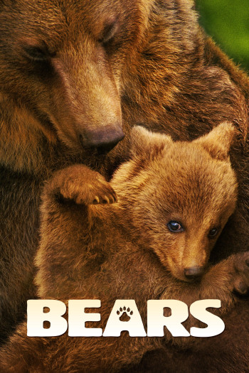 Bears - Bears (2014)