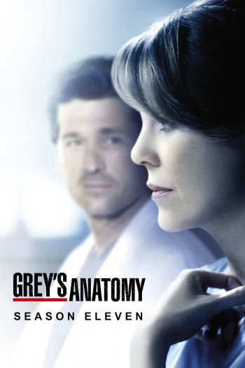 Ca Phẫu Thuật Của Grey (Phần 11) - Grey's Anatomy (Season 11) (2014)