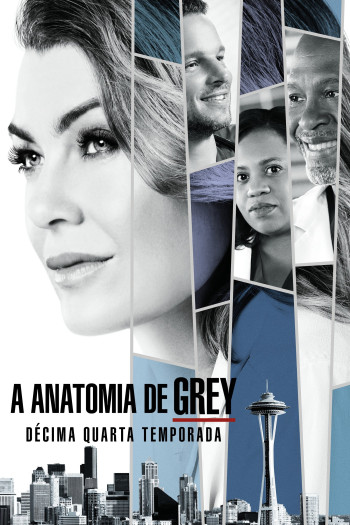Ca Phẫu Thuật Của Grey (Phần 14) - Grey's Anatomy (Season 14) (2017)