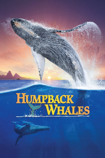  Cá Voi Lưng Gù - Humpback Whales (2015)