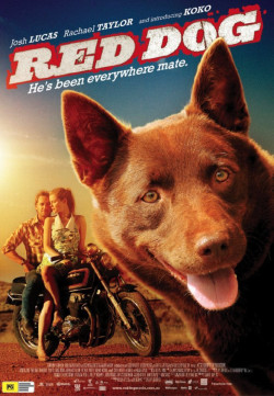 Chú Chó Đỏ - Red Dog (2011)
