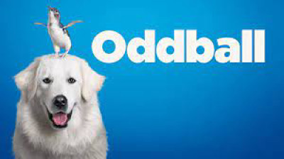 Chú Chó OddBall - Oddball
