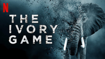 Cuộc chiến ngà voi - The Ivory Game