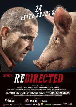 Cuộc Phiêu Lưu Bất Đắc Dĩ - Redirected (2014)