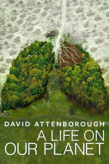 David Attenborough: Một cuộc đời trên Trái Đất - David Attenborough: A Life on Our Planet