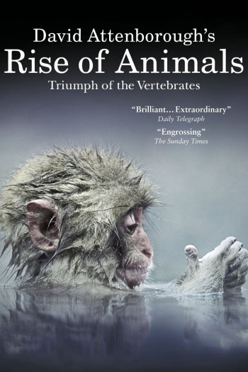 David Attenborough's Rise of Animals: Triumph of the Vertebrates - David Attenborough's Rise of Animals: Triumph of the Vertebrates (2013)
