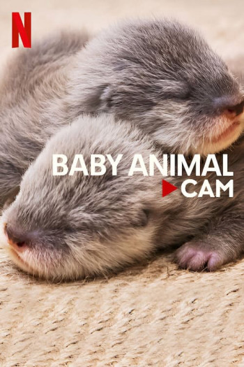 Động vật bé cưng trên camera - Baby Animal Cam