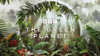 Hành Tinh Xanh - The Green Planet