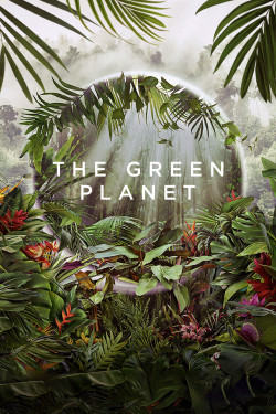 Hành Tinh Xanh - The Green Planet (2022)