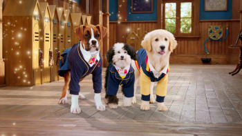 Học viện cún con (Phần 1) - Pup Academy (Season 1)