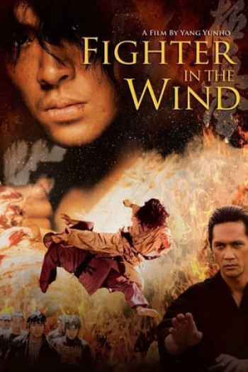 Huyền thoại võ sĩ - Fighter in the Wind (2004)