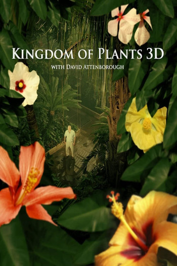 Kingdom of Plants - Kingdom of Plants (2012)