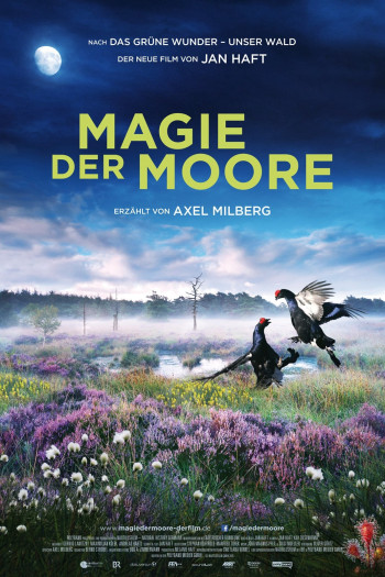 Magie der Moore - Magie der Moore (2015)