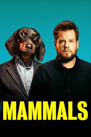 Mammals - Mammals