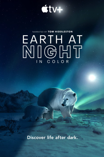 Màn đêm trên Trái Đất - Night on Earth (2020)