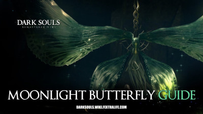 Hình ảnh Moonlight Butterfly