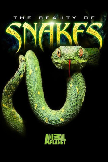 Nét đẹp của loài rắn - The Beauty of Snakes (2003)