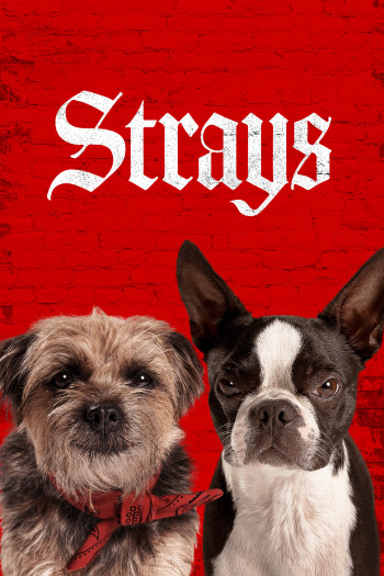 Những Chú Chó Bụi Đời - Strays (2023)