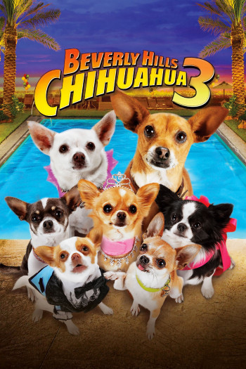 Những Chú Chó Chihuahua 3 - Beverly Hills Chihuahua 3: Viva la Fiesta! (2012)
