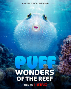 Puff: Rạn san hô kỳ diệu - Puff: Wonders of the Reef (2021)