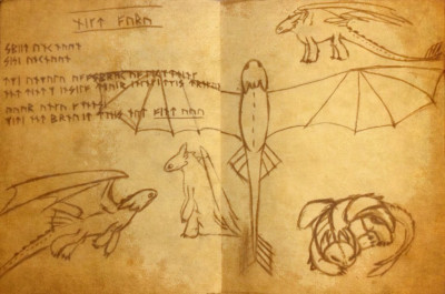 Quyển Sách Của Rồng - Book of Dragons