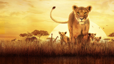 Serengeti - Serengeti