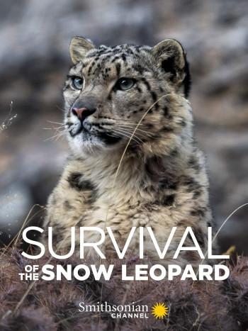 Survival Of The Snow Leopard - Survival Of The Snow Leopard (2020)