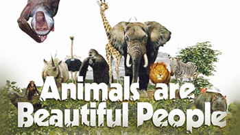 Thế Giới Loài Vật Sống Động - Animals Are Beautiful People