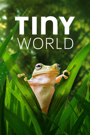 Thế Giới Siêu Nhỏ (Phần 2) - Tiny World (Season 2)