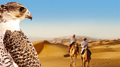 Thiên Nhiên Hoang Dã Ả Rập  - Wild Arabia
