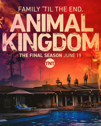 Vương quốc động vật (Phần 6) - Animal Kingdom (Season 6) (2022)